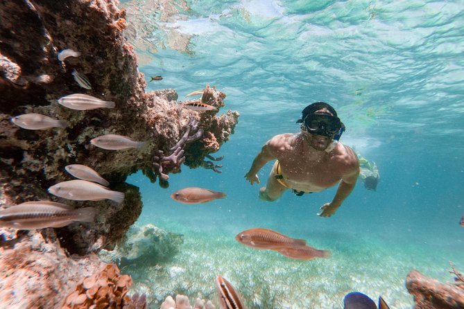 Marinarium Snorkeling Cruise From Bayahibe - Cancellation and Booking Policies