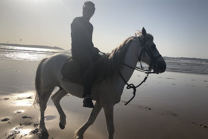 Marrakech Day Trip to Essaouira - Horseback, Camel Ride, ATV on the Beach - Meeting Point and Logistics