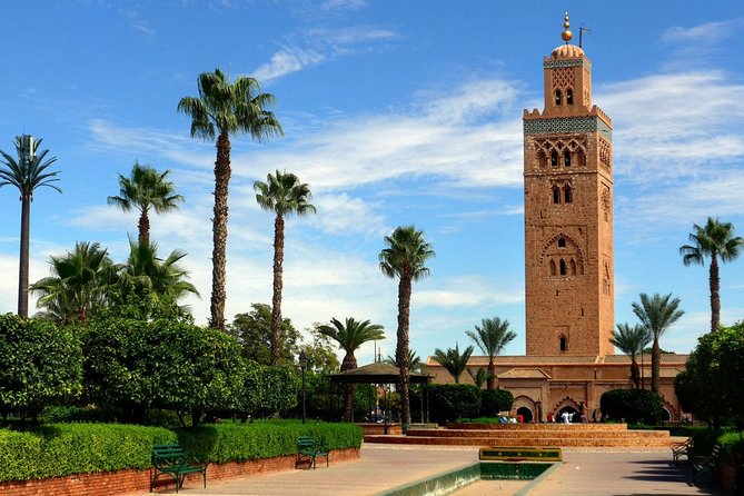 Marrakech Highlights: Guided Day Tour From Agadir - Customer Reviews and Feedback