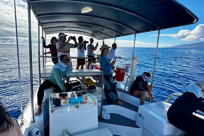Maui Mid Day Magic Whale Watch - Whale Watching Highlights