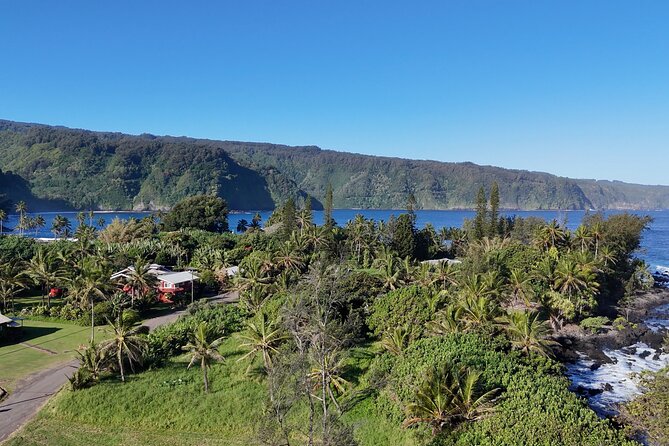 Maui's Sea Turtles, Waterfalls and Road to Hana Adventure - Navigating the Road to Hana