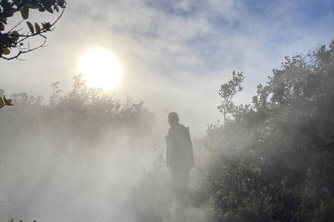 Meet in the Park - Private Hawaii Volcanoes National Park Tour - Meeting and Pickup Details