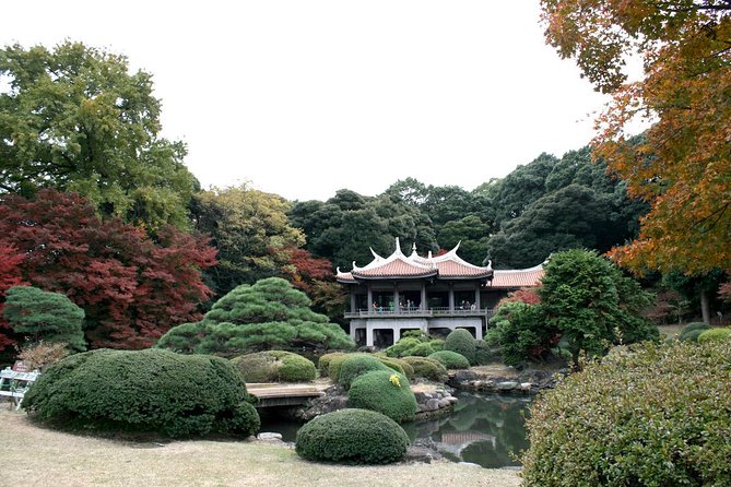 Meiji Jingu Shrine Half-Day Tour by Public Transportation - Using Public Transportation
