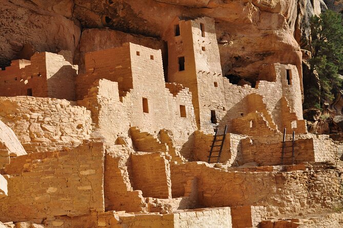 Mesa Verde Highlights Tour - Traveler Experiences and Guide Quality