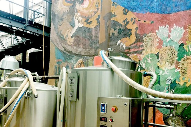 Mexican Craft Beer Tasting Experience - Accompanying Food Pairings