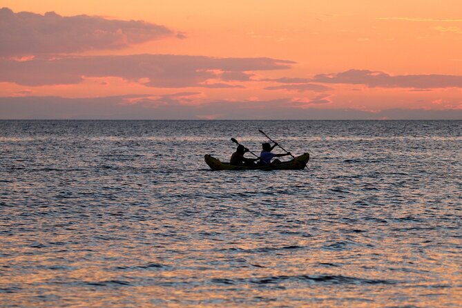 Miami Kayak Sunset Biscayne Bay Tour Review - Booking and Policies