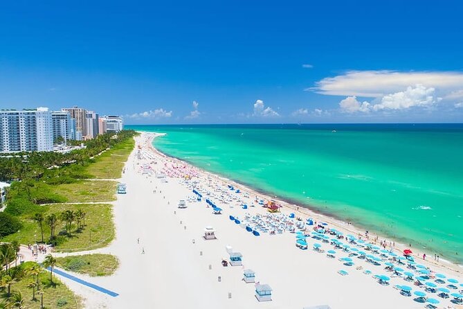 Miami Private Tour in 5 Hours Review - Accessibility and Accommodations