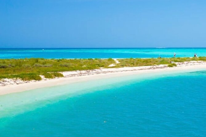 Miami: Snorkeling on Secluded Deserted Island - Exploring Marine Life