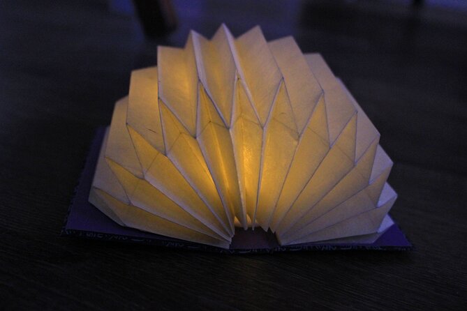 Mini Origami Lamp and Mizuhiki Knot Belt Workshop in Ueno - Instructor Kaho Shinoda: Expertise and Guidance