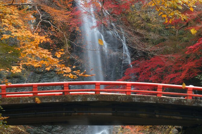 Minoo Park Adventure: Nature, Temples, and Coffee Bliss - Taking in the Tranquility of the Tokushuji Temple
