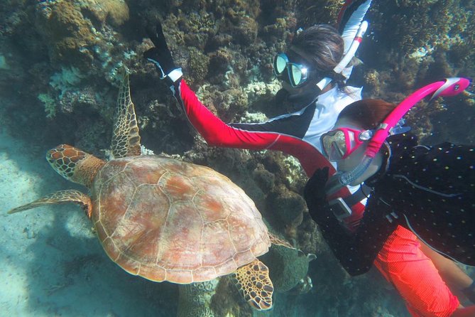 [Miyakojima Snorkel] Private Tour From 2 People Go to Meet Cute Sea Turtle - Meeting and End Points