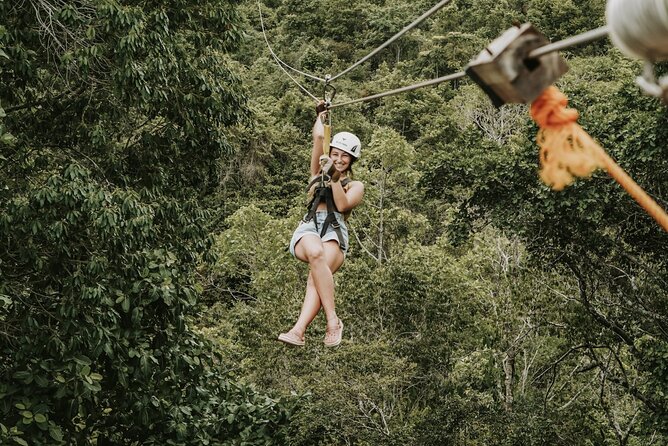 Monkey Jungle With Zip Line - Diving Into the Monkey Jungle