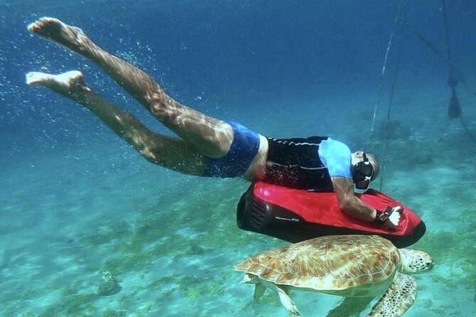 Montego Bay Tropical Bliss Beach Private Tour - Dining Experience