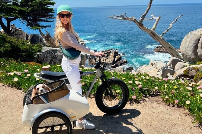 Monterey Bay Famous Dog Friendly Electric Bike and Sidecar Tour - Pricing and Duration of the Adventure