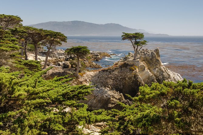 Monterey, Carmel and 17-Mile Drive: Full Day Tour From SF - Scenic Drive Along Highway 1