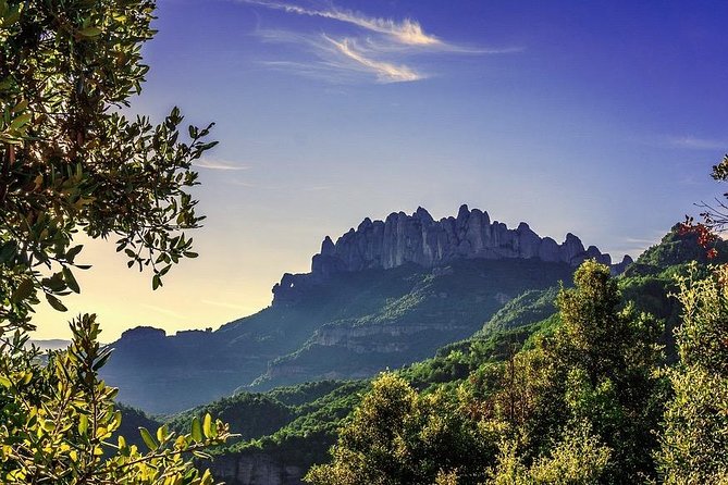 Montserrat and De Poblet Monastery - Reduced Group Hotel Pick up From Barcelona - Guest Reviews