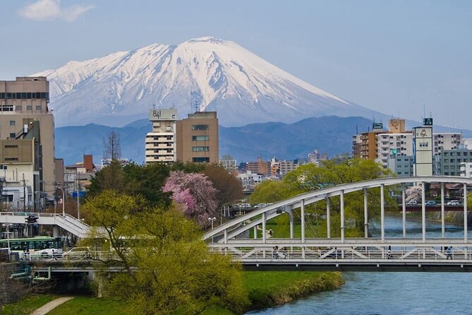 Morioka Full-Day Private Tour With Government-Licensed Guide - Accessibility and Participation