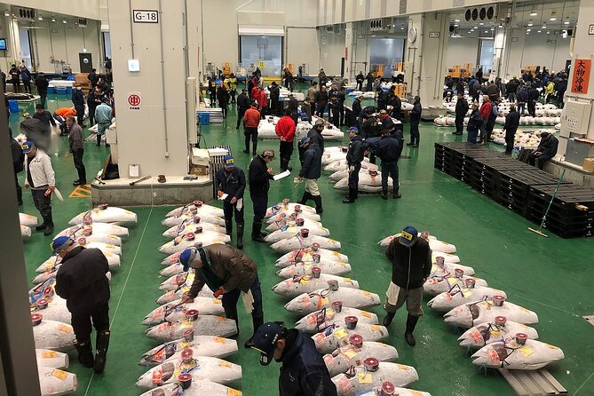 Morning Market Adventure: Toyosu & Tsukiji With Tuna Auction - Customer Reviews and Feedback