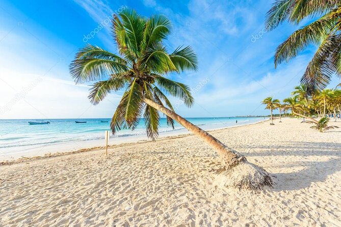 Mother Nature, Tulum and Beach Paradise With Lunch - Lunch Experience and Cuisine