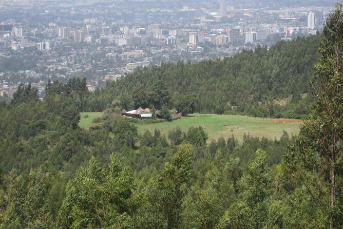 Mount Entoto View Point, Museum Palace Local Market & Food Tours - Booking Information