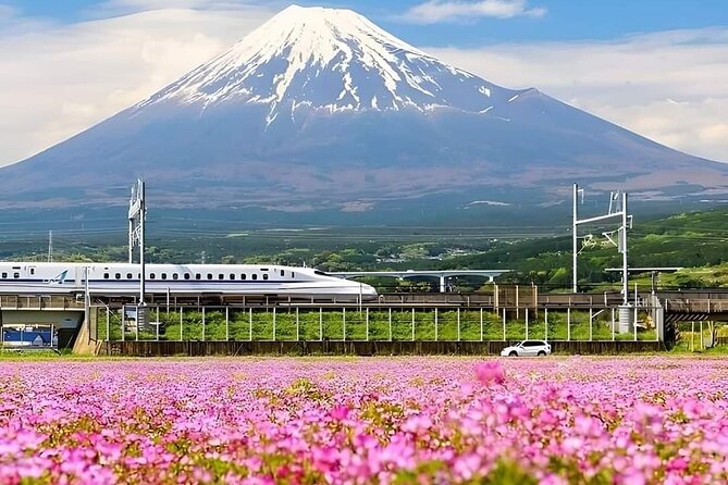 Mount Fuji 5th Station Kawaguchiko Gotemba Mall Tour From Tokyo - Participation Guidelines