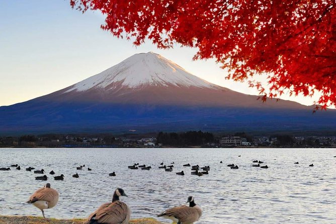 Mount Fuji Classic Day Tour (Join Tour) - Additional Information