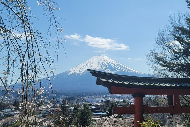 Mount Fuji Day Tour With English/Hindi Speaking Guide - Booking Information