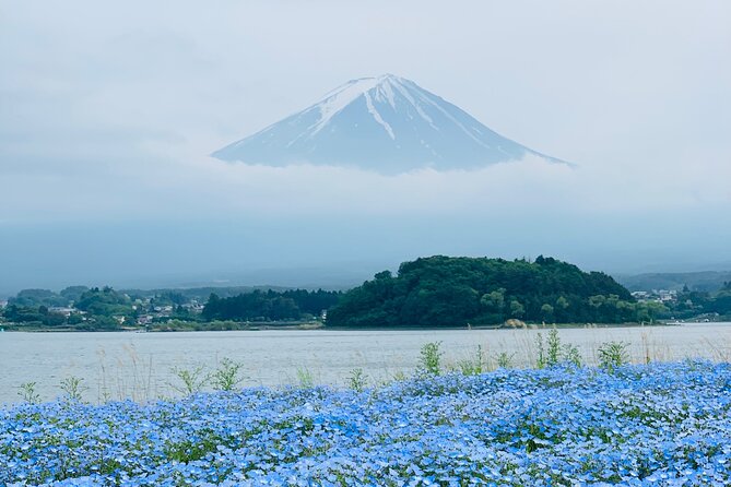 Mount Fuji & Hakone Private Customized Sightseeing English Trip - Customizable Itinerary