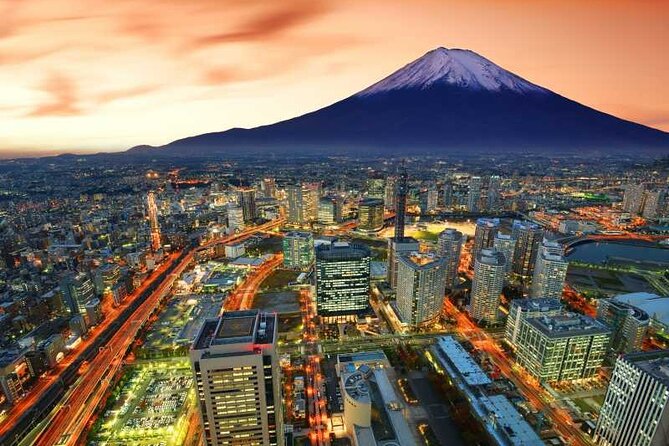 Mount Fuji Private Custom Tour From Tokyo - Accessibility