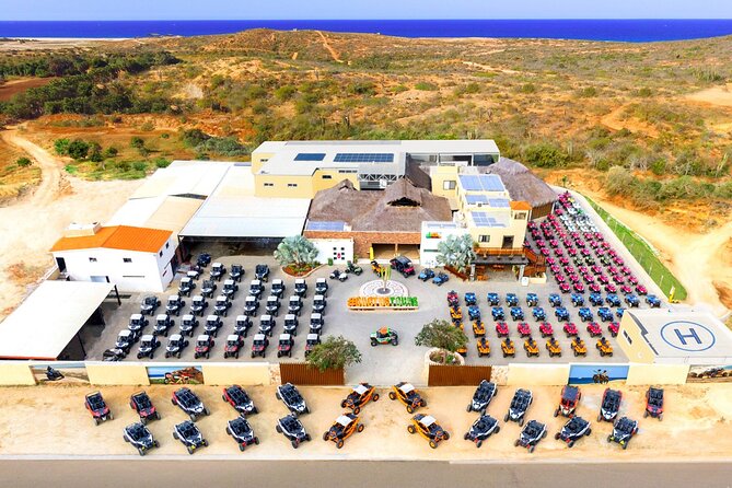 Mountain Bike Beach & Desert Tour in Cabo by Cactus Tours Park - Booking Details