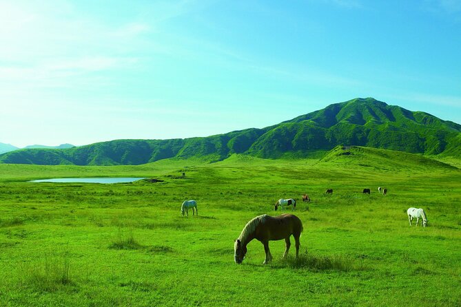 Mt. Aso and Takachiho Gorge 1 Day Highlights Tour From Kumamoto - Takachiho Gorge Discovery