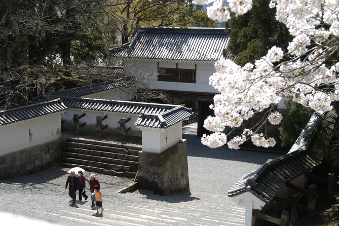 Mt. Aso and Takachiho Gorge 1Day Tour From Nobeoka Sta. Miyazaki - Health and Accessibility