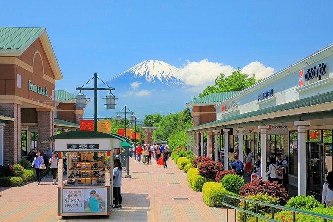 Mt. Fuji and Gotemba Outlet Private Day Trip From Tokyo - Accessibility and Recommendations