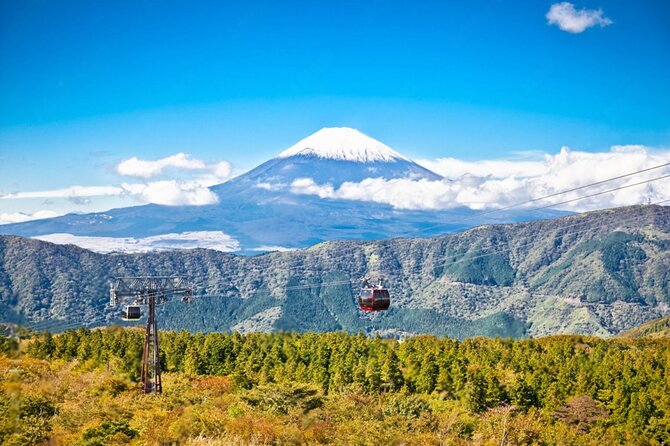 Mt Fuji and Hakone Private Day Tour - Discovering Hakones Natural Beauty