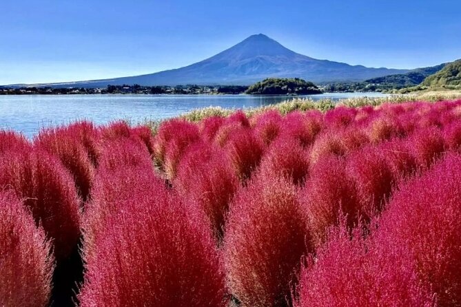 Mt. Fuji Day Tour From Shinjuku in Tokyo Japan - Tour Itinerary