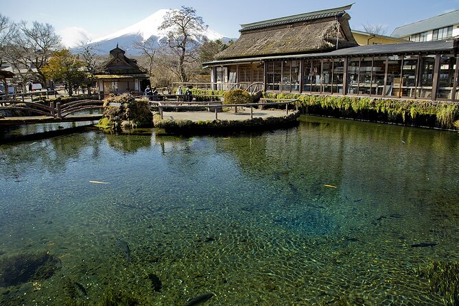 Mt Fuji Full Day Private Tour - Health and Accessibility