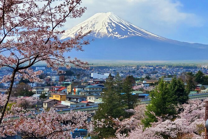 Mt. Fuji Guided Private Tour GREEN NUMBER PLATES - Inclusions and Exclusions