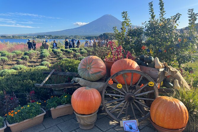 Mt. Fuji & Hakone Cherry Blossom Private One Day Tour - Customer Feedback