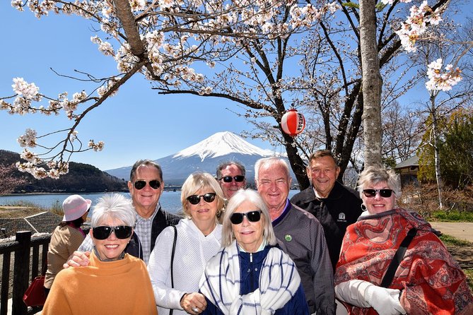 Mt. Fuji & Hakone Day Tour From Tokyo by Car With JP Local Guide - Accessibility