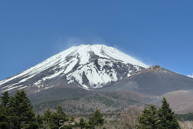 Mt. Fuji & Hakone Private Tour With English-Speaking Guide - Preparation
