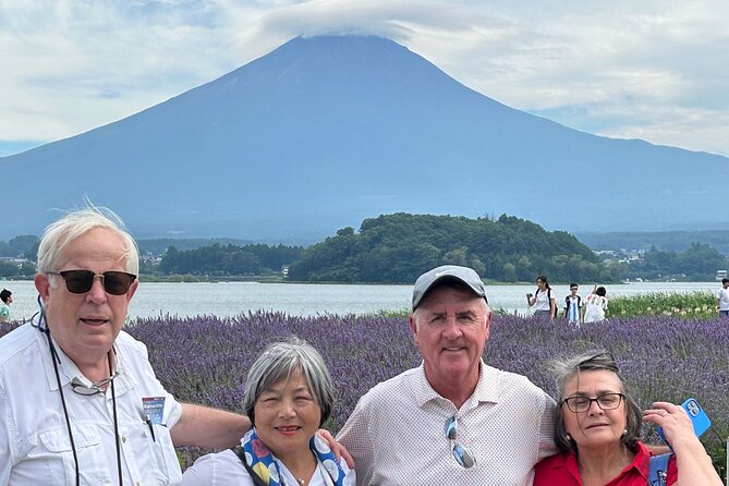 Mt.Fuji & Hakone Tour, From-To Tokyo/Yokohama/Odawara, 2-12guests - Accessibility and Participation