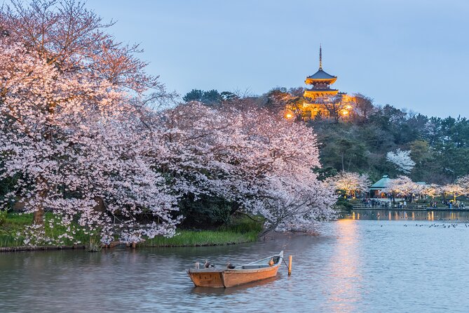 Mt Fuji Kawaguchi/Hakone/Yokohama Tokyo Customize Private Car - Accessibility and Participation