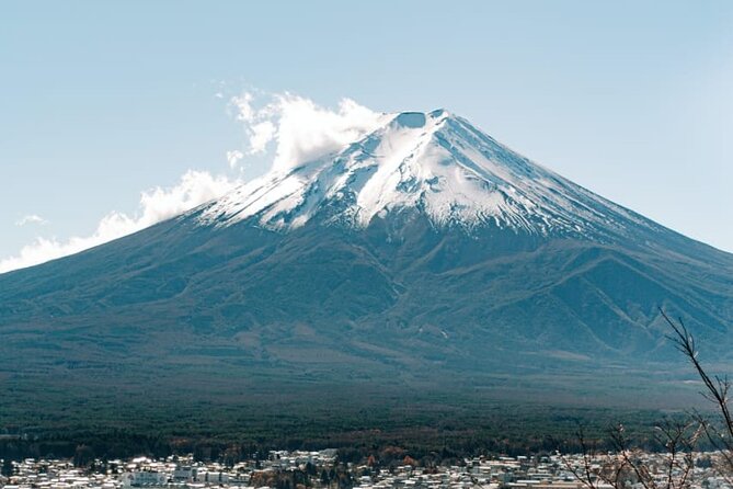 Mt. Fuji, Lake Kawaguchiko Private Tour With Pick up - Experience and Customization