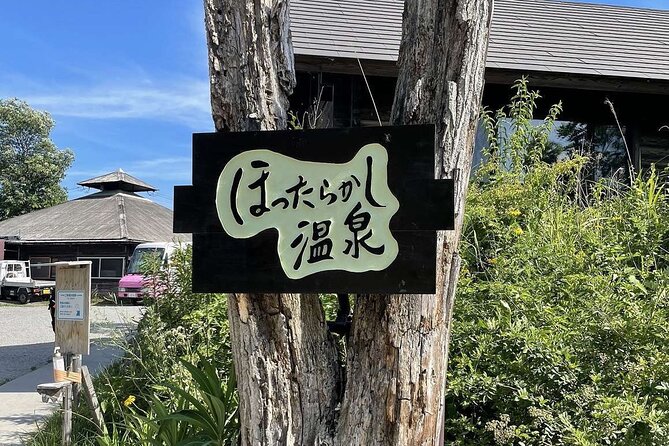 Mt. Fuji, Onsen (Tattoo Ok) & Japanese Sake, Wine & Whiskey Tour - Accessibility and Requirements
