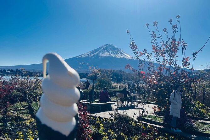 Mt Fuji Private Sightseeing Tour From Tokyo - Meeting and Pickup