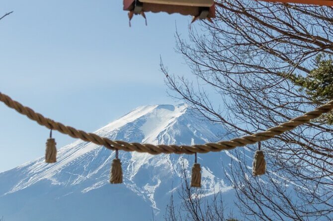 Mt. Fuji Private Tour From Tokyo With English Guide - Schedule & Availability