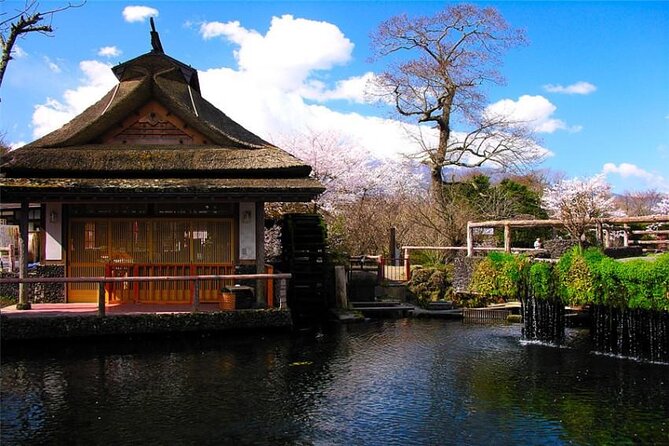 Mt Fuji Private Tour With Daily Chauffeur - Personalized Itinerary