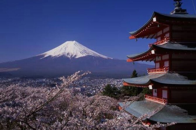 Mt Fuji Private Tour With English Speaking Driver - Reviews and Feedback