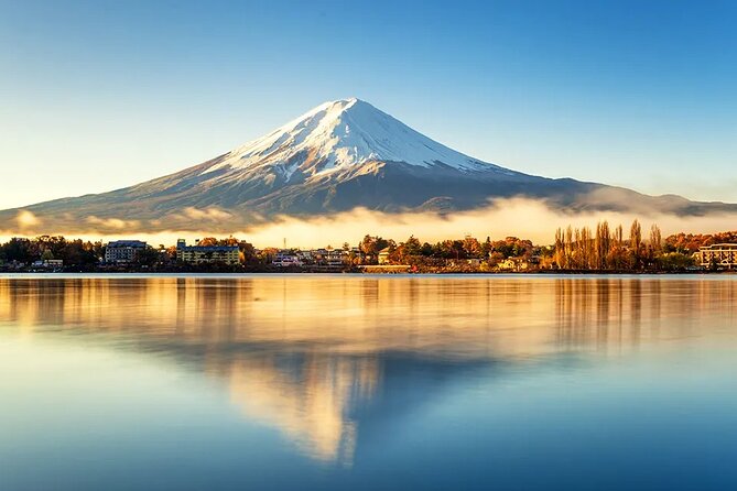 Mt Fuji Scenic Views and Lake Kawaguchi Floral Tour From Tokyo - Tour Conditions and Restrictions