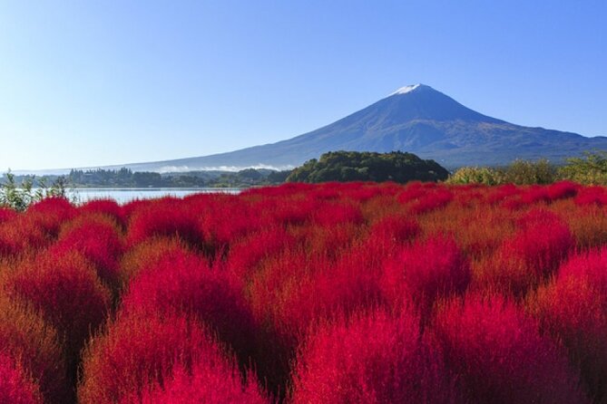 Mt. Fuji Viewing & Suntory Hakushu Distillery Whisky Museum - Traveler Restrictions